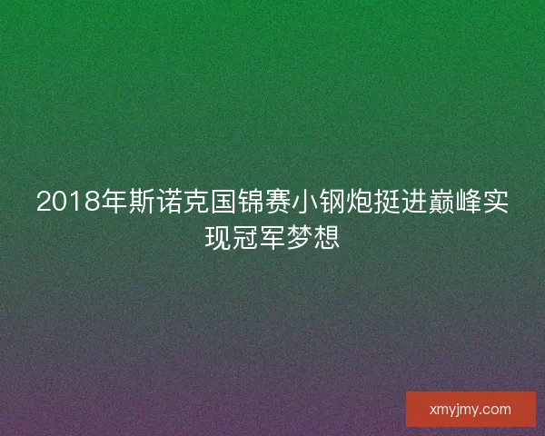 2018年斯诺克国锦赛小钢炮挺进巅峰实现冠军梦想