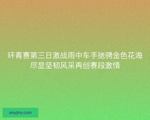 环青赛第三日激战雨中车手驰骋金色花海尽显坚韧风采再创赛段激情